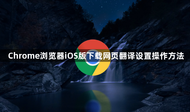 Chrome浏览器iOS版下载网页翻译设置操作方法1