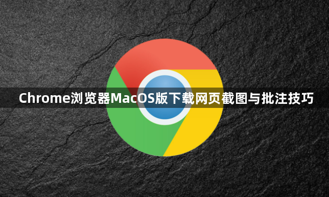 Chrome浏览器MacOS版下载网页截图与批注技巧1