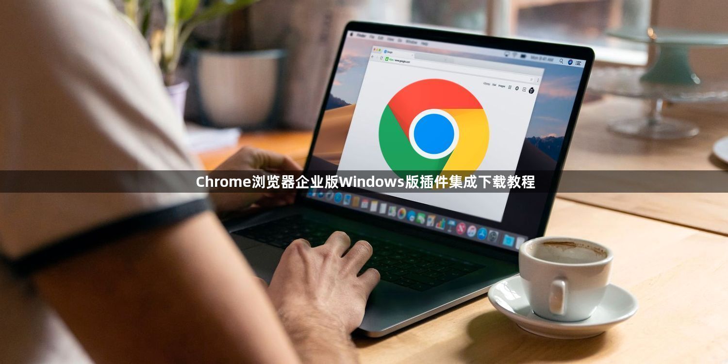 Chrome浏览器企业版Windows版插件集成下载教程1