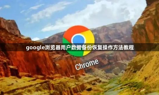 google浏览器用户数据备份恢复操作方法教程1