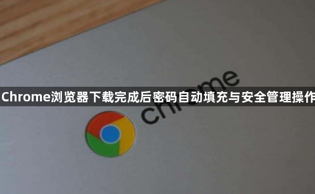 Chrome浏览器下载完成后密码自动填充与安全管理操作1