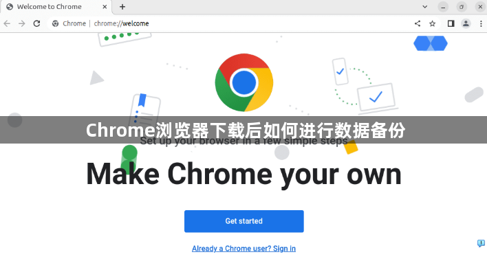 Chrome浏览器下载后如何进行数据备份1