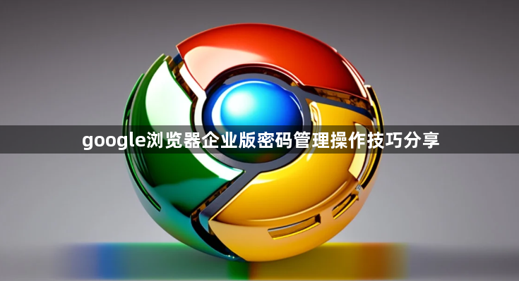 google浏览器企业版密码管理操作技巧分享1
