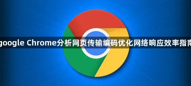 google Chrome分析网页传输编码优化网络响应效率指南1