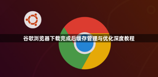 谷歌浏览器下载完成后缓存管理与优化深度教程1